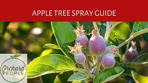 Organic Fruit Tree Spray Schedules And Apple Tree Spray Guide Youtube