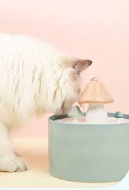 Cat Ceramic Drinking Fountain Mushroom Usb Automatic Water Dispenser Happyandpolly In 2021 Pet Water Fountain Drinking Fountain Cat Water Fountain