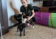 Pine Knot News Archives