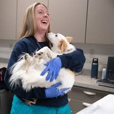 We're Here When Your Pet Needs Us Most