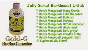 Agen resmi jeli gamat luxor dan spirulina di sulawesi tenggara. Manfaat Jelly Gamat Gold G Untuk Jelly Gamat Original Facebook