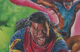 Image result for Grey 1994 Fleet