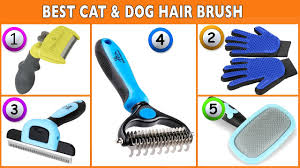 Find shed ninja pet grooming brush double sided slicker for long & short hair cats & dogs, best tool to reduce shedding, remove matted & tangled fur & cat & dog dander. Best Cat Dog Brush For Shedding Top Cat Dog Hair Brush Reviews Youtube