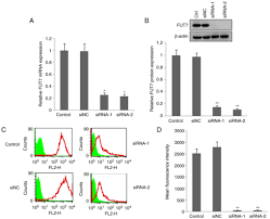 Convert 2700 malaysian ringgit to euro. A 1 3 Fucosyltransferase Vii Sirna Inhibits The Expression Of Slex And Hepatocarcinoma Cell Proliferation