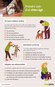 Prendre Soin D Un Chien Age Chien Education Chien Prendre Soin De Soi