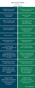 Difference Between Archaebacteria And Eubacteria Characteristics Classification Types Examples