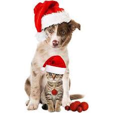Find the perfect christmas dog stock photos and editorial news pictures from getty images. Christmas Dogs And Cats Free Layered Psd File Transparent Background Free Download