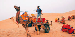 And where is visit jaisalmer fort, patwaon ki haveli, sam sand dunes etc we will be provided that all the in sequence that you will need to travel. Pin On Adventure Travel