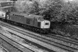 Image result for Grey 1984 Fleet