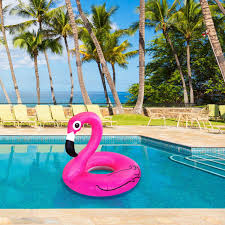 Xl Schwimmring Flamingo Pink X Large Amazon De Sport Freizeit Schwimmring Flamingo Flamingo Schwimmringe