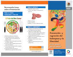 Leguminosas y alimentos de origen animal (aoa). Triptico Prevencion Sobrepeso Y Obesidad By Lafd Ruben Calleros Issuu
