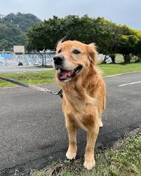 Cooper Chung (@cooper20191104) • Instagram photos and videos