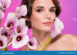 121 Magenta Calla Stock Photos