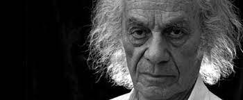 The antipoetry of nicanor parra. Leer Para Entender A Nicanor Parra