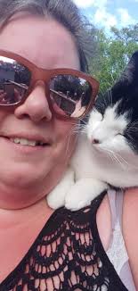 lost cat hero in copper bay road area