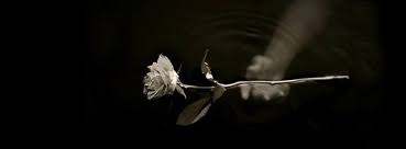 Black vixenne is on facebook. 50 Black Facebook Cover Photos For People In A Sad Mood