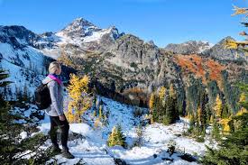 Inside the park you have the choice of staying at the national park inn (longmire) and the paradise inn (paradise), or in one of the three major campgrounds (cougar rock, ohanapecosh, and white river). The Complete Guide To Camping In Mount Rainier National Park Beyond The Tent
