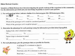Create a punnett square to help you answer the . Bikini Bottom Genetics Worksheet Biology Worksheet Persuasive Writing Prompts Worksheets