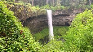 However, on the canyon trail sections pets are not permitted. Silver Falls Park Gem Of The Oregon System Has Reopened Kgw Com