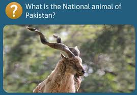 Check spelling or type a new query. What Is The National Animal Of Pakistan