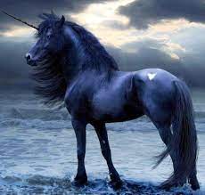 images?q=tbn:ANd9GcSn_dBf2NjF7qMVTls_hLKCvjElpYYH6j_qRFlTEsxOn-qbx0zMgfXNs4py03VjW8HB4ws&usqp=CAU