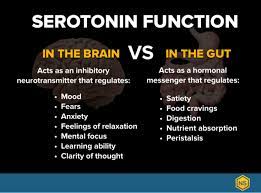 Could You Have A Serotonin Imbalance Natural Stacks
