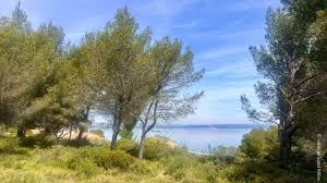 Que faire ce week-end prolongé du 1er mai en Provence ? 9 idées de sorties gratuites