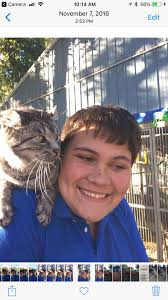 Bailey is home! Almost 3 weeks later he just strolled through the cat flap,  half the cat he was when he left and full of fleas but he's home and seems  fine.