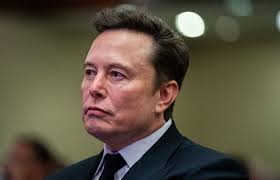 Inside Elon Musk's plan for DOGE to slash government costs