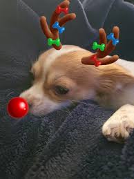 Melissa Sullins (@melissasullins420)