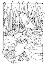 Zentangle stylized cartoon frog, isolated on white background. Pin On Color Pages