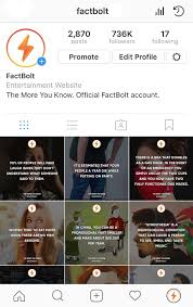 They look and see what. Give You A Shoutout On My 736k Instagram Page By Factbolt Fiverr