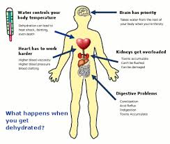 What Is Dehydration 6 Signs Of Dehydration Dehydration Symptoms Dehydrator Health Facts