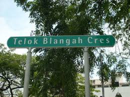 Telok blangah house is a freehold condominium development located at 52 telok blangah road in district 04. Telok Blangah Crescent Hdb Details Srx