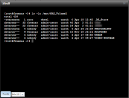 Read Only File System Error Permissions Problem Truenas Community