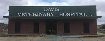 Miriam has been in customer service in the veterinary industry for over 10 years and joined eden pet hospital in 2017. Davis Veterinary Hospital Hattiesburg Mississippi 39401