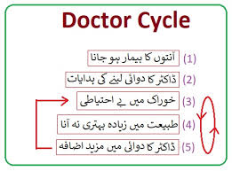 How Does Scd Diet Heals Intestinal Ulcers Pak Project