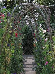 Sweet Peas At Wisley Garden Trellis Pea Trellis Garden Inspiration