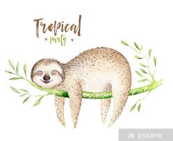 Bekijk dan deze makkelijke teken video! Schattige Tekeningen Makkelijk Dieren Coloring And Drawing