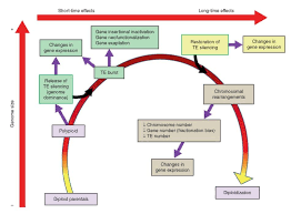 Impact Of Transposable Elements On Polyploid Plant Genomes Botany One Genetic Sequence Gene Expression Plant Science