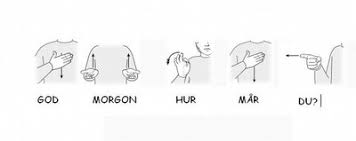 Teckenspråket är ett språk som uttrycks med kroppen och händerna och uppfattas med. Elinas Blogg