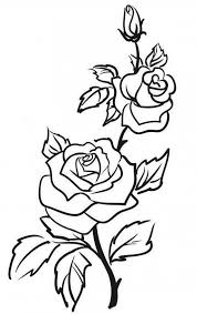 Pin Von Renee Rose Auf Rose Weinrebe Zeichnung Umrisszeichnungen Rosen Umriss