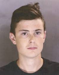 Factoryville teen admits arson efforts