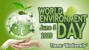 It is celebrated among 143 countries around the globe. World Environment Day 2020 June 5