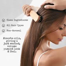 Natural Dry Shampoo Large Powder Sprayer 2.95 oz Non-Aerosol Hair Care