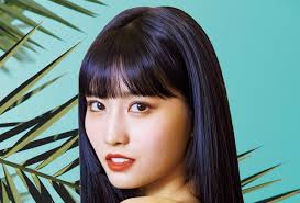 You need to enable javascript to vote. Twice Momo Writes Heartfelt Letter For Onces After Dating Confirmation With Heechul Kpopstarz