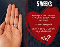 Pin On Pregnancy