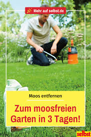 Moos Entfernen Selbst De In 2020 Moos Entfernen Moos Moos Im Rasen Entfernen
