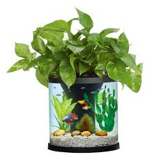 Download the free petsmart mobile app today & access your digital card. Aquaponics Petsmart Online Shopping