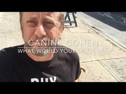 Canine Cohen Dog Training